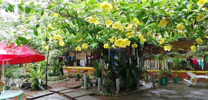 Ennas Place Coron Dış mekan fotoğraf